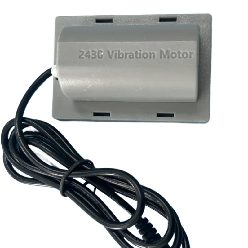 2430 12V DC 인기 판매 마이크로 마사지 진동  - Dc Motor 리뷰 및 가격